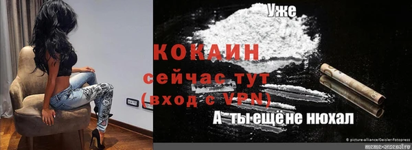 стафф Кодинск