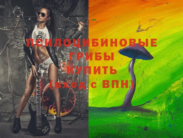 стафф Кодинск