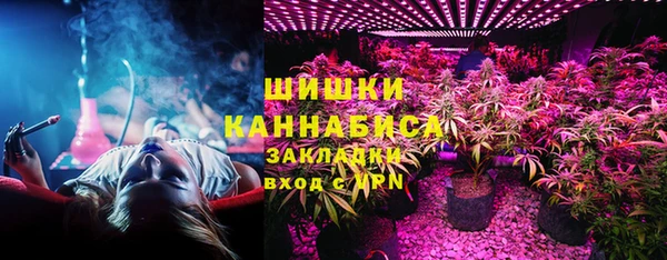 стафф Кодинск
