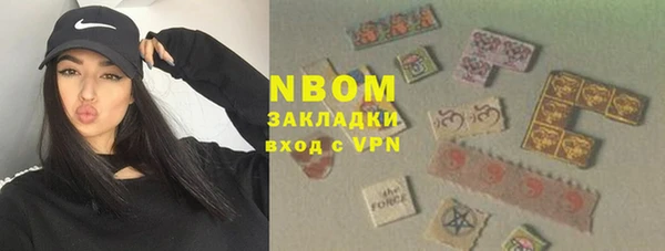 стафф Кодинск