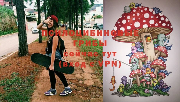 дмт Козельск
