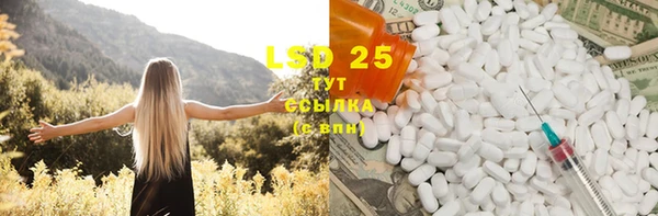 стафф Кодинск